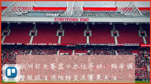 欧洲杯决赛盘口水位异动,赔率调整致投注流向转变及赛果关注