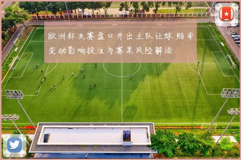 欧洲杯决赛盘口开出主队让球 赔率变动影响投注与赛果风险解读