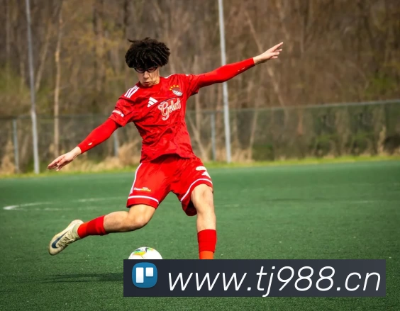 千亿官方站网页版 - 千亿(中国)平台生态图